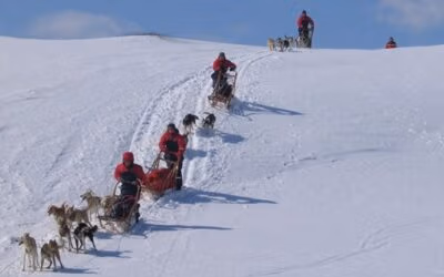Trip Report: ARCTIC NORWAY – Fiona learns to drive a Dog Sled team